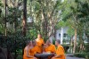 _660309_เตรียมบวช-78 - ณัฐพงศ์ วิภาวิน (ปก) ขนาดใหญ่.jpeg